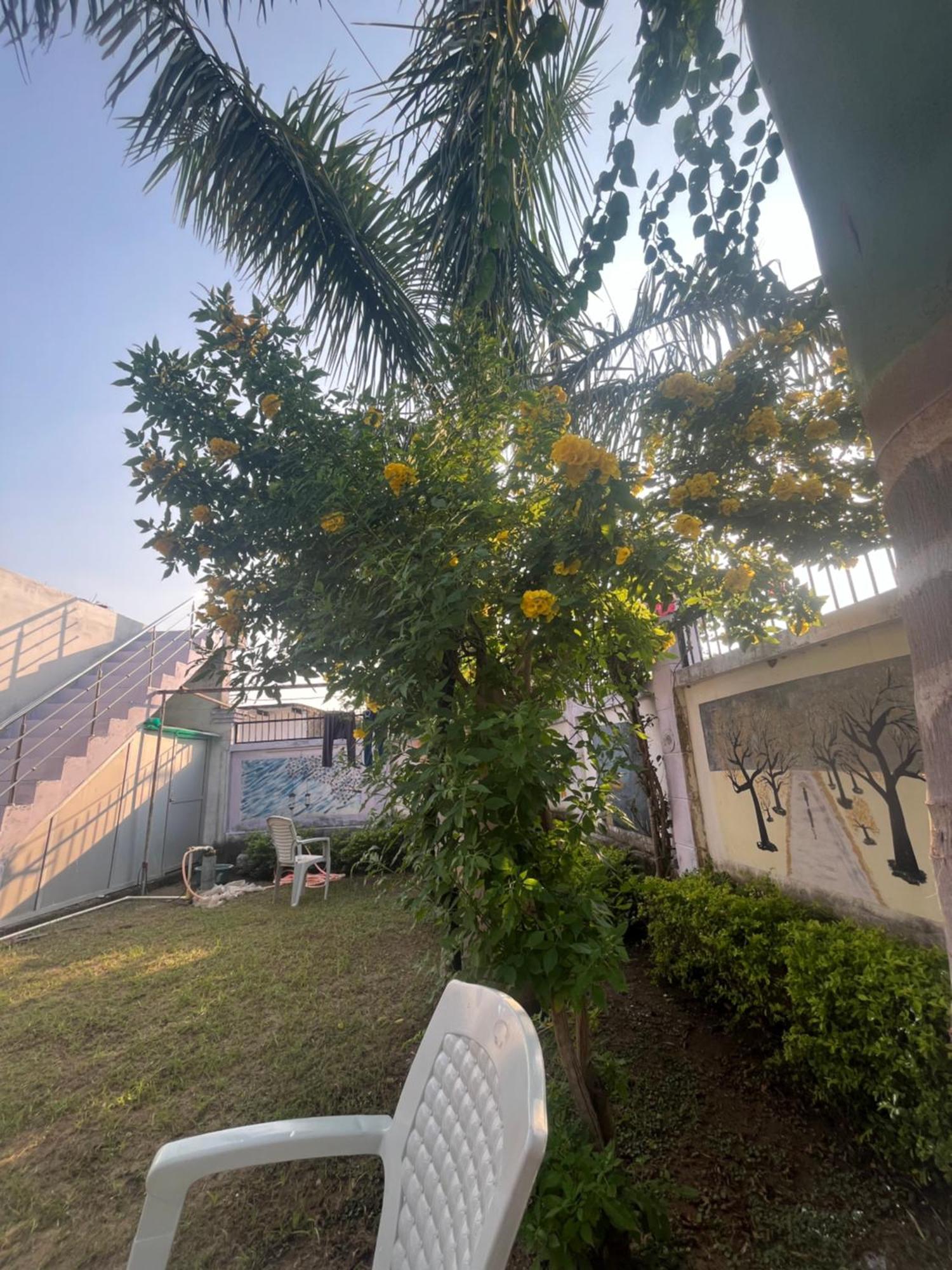 קג'ורהו Sunrise Bed & Breakfast מראה חיצוני תמונה