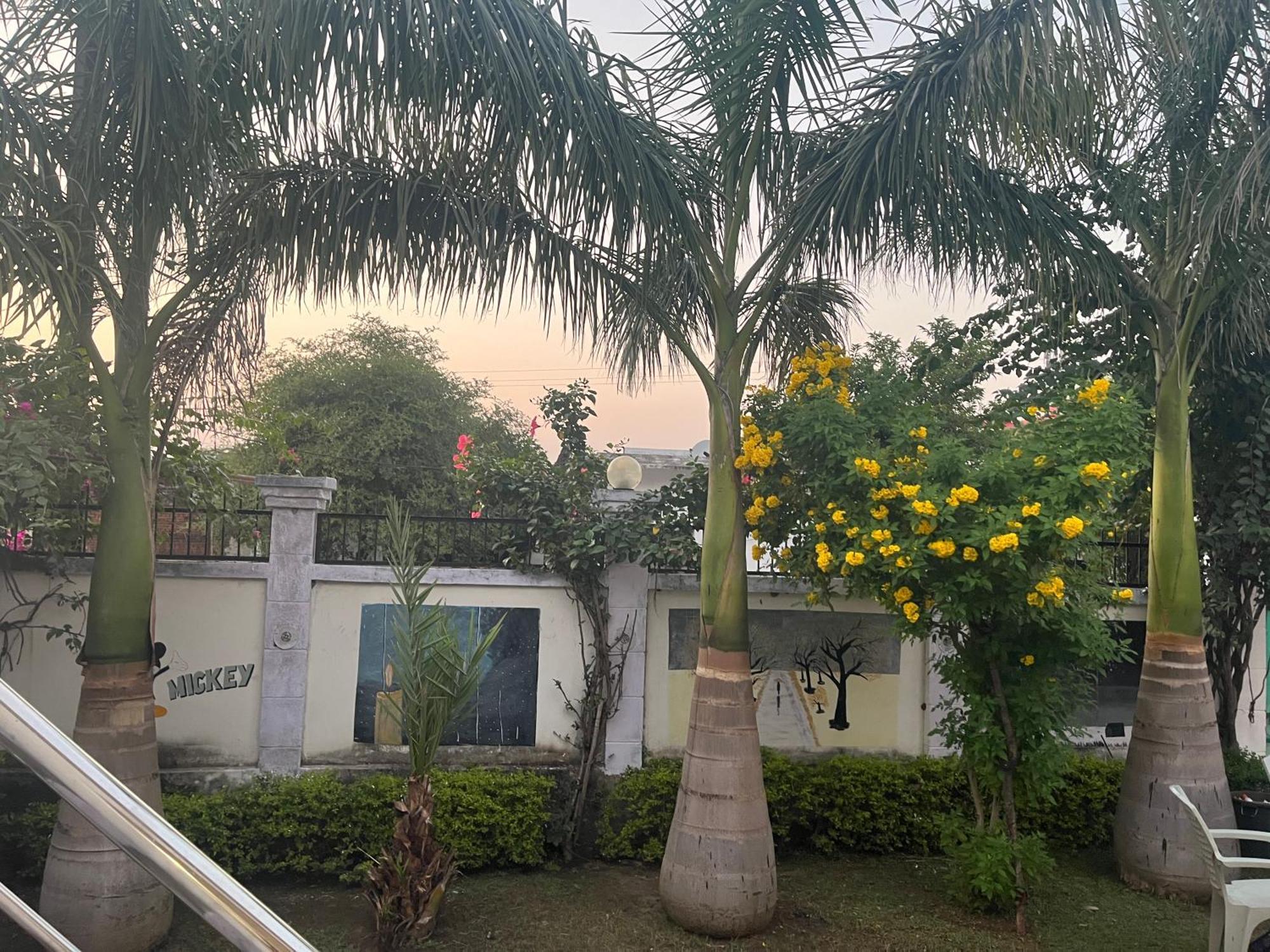קג'ורהו Sunrise Bed & Breakfast מראה חיצוני תמונה